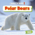 Cover: Polar Bears - Brown Bear Books Ltd