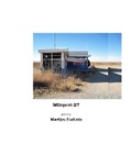 Cover: Milepost 27 - Black Heron Press