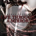 Cover: Life Through a Mirror - Silverton Agency