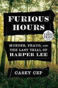 Abbildung von: Furious Hours - Random House Large Print