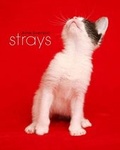Cover: Strays - Siman Media Works