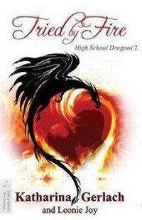 Enlarge image Cover: Tried by Fire - Independent Bookworm