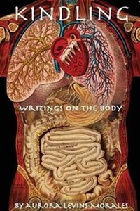 Enlarge image Cover: Kindling - Palabrera Press