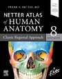 Bild: Netter Atlas of Human Anatomy: Classic Regional Approach - Elsevier