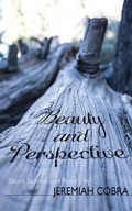 Cover: Beauty and Perspective - Obsydyan Lynx Enterprises