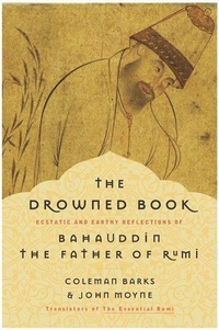 Enlarge image Cover: The Drowned Book - HarperCollins