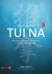 Abbildung von: The Practice of Tui Na - Singing Dragon