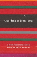 Cover: According to John James - Shearsman Books