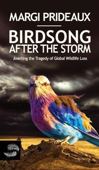 Bild: Birdsong After the Storm - Stormbird Press