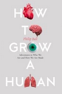 Enlarge image Cover: How to Grow a Human - William Collins