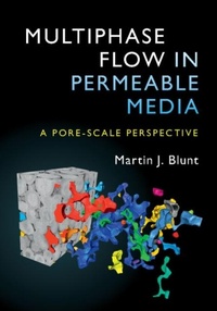 Abbildung von: Multiphase Flow in Permeable Media - Cambridge University Press