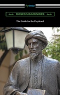 Cover: The Guide for the Perplexed - Digireads.com Publishing
