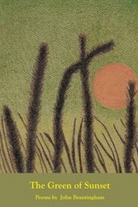Enlarge image Cover: The Green of Sunset - Moon Tide Press