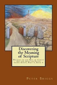 Enlarge image Cover: Discovering the Meaning of Scripture - Daystar Institute / Nm, Inc.