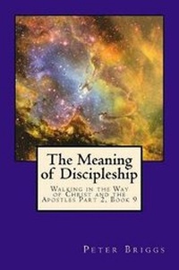 Enlarge image Cover: The Meaning of Discipleship - Daystar Institute / Nm, Inc.
