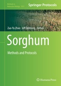 Bild: Sorghum - Humana