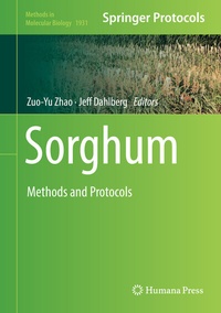 Abbildung von: Sorghum - Humana