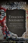 Cover: Tenacious Solidarity - Fortress Press