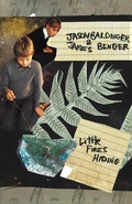 Cover: Little Fires Hiding - Kung Fu Treachery Press