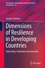 Cover: Dimensions of Resilience in Developing Countries - Springer