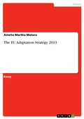 Cover: The EU Adaptation Strategy 2013 - GRIN Verlag