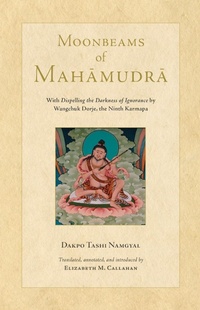 Abbildung von: Moonbeams of Mahamudra - Snow Lion