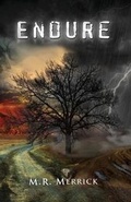 Cover: Endure - M.R. Merrick