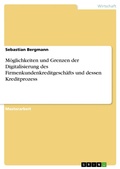 Cover: M&ouml;glichkeiten und Grenzen der Digitalisierung des Firmenkundenkreditgesch&auml;fts und dessen Kreditprozess - GRIN Verlag