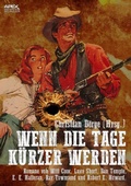 Cover: WENN DIE TAGE K&Uuml;RZER WERDEN - BookRix