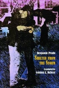 Enlarge image Cover: Shelter from the Storm - University Press of North Georgia