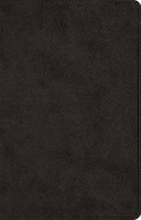 Enlarge image Cover: ESV Prayer Bible - Crossway Books