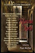 Cover: Nefarious North - Karen Dryden Publishing