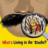 Enlarge image Cover: What's Living In The 'Stache - Createspace Independent Publishing Platform