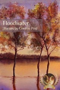 Cover: Floodwater - Glass Lyre Press
