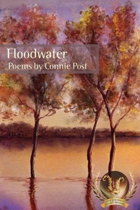 Enlarge image Cover: Floodwater - Glass Lyre Press