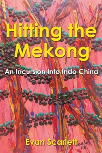 Abbildung von: Hitting the Mekong - Xlibris AU