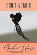 Cover: Broken Wings - Xlibris AU