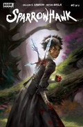 Cover: Sparrowhawk #1 - Boom Entertainment