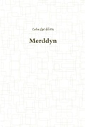 Cover: Merddyn - Lulu.com