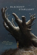 Cover: Blackout Starlight - Zando - Hillman Grad Books
