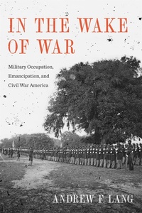 Enlarge image Cover: In the Wake of War - Princeton University Press