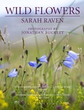 Cover: Sarah Raven's Wild Flowers - Bloomsbury Publishing PLC