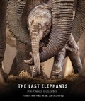Cover: The Last Elephants - Smithsonian Books