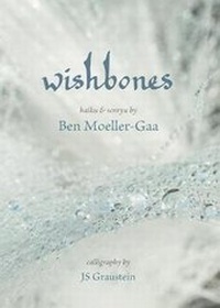 Enlarge image Cover: Wishbones - Folded Word