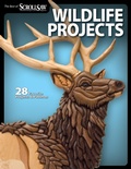 Cover: Wildlife Projects - Fox Chapel Publishing