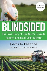 Enlarge image Cover: Blindsided - G&D Media