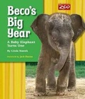 Cover: Beco's Big Year - IGI Distributors