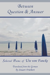 Enlarge image Cover: Between Question & Answer - Pinyon Publishing