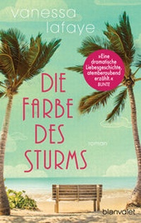 Abbildung von: Die Farbe des Sturms - Blanvalet