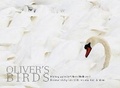 Cover: Oliver's Birds - ACC Art Books
